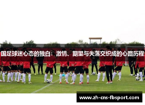 国足球迷心态的独白：激情、期望与失落交织成的心路历程