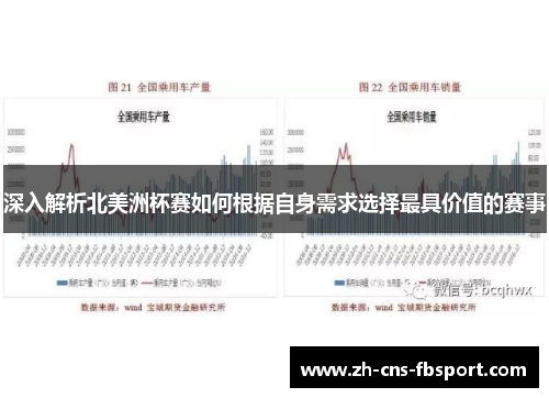深入解析北美洲杯赛如何根据自身需求选择最具价值的赛事