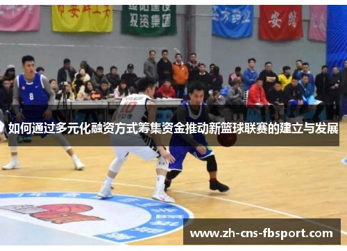 如何通过多元化融资方式筹集资金推动新篮球联赛的建立与发展 如何通过多元化融资方式筹集资金推动新篮球联赛的建立与发展