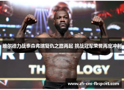 维尔德力战泰森弗瑞复仇之路再起 挑战冠军荣誉再度冲刺