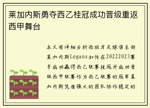 莱加内斯勇夺西乙桂冠成功晋级重返西甲舞台 莱加内斯勇夺西乙桂冠成功晋级重返西甲舞台